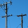 Best Practices for Wood Utility Poles