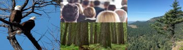 Forestry Management: A Solutions-Based Symposium