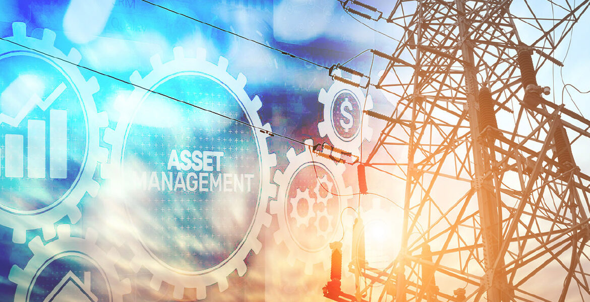 Managing the Complexities of T&D Asset Management